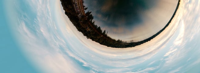 Buildings and trees through a fisheye lens